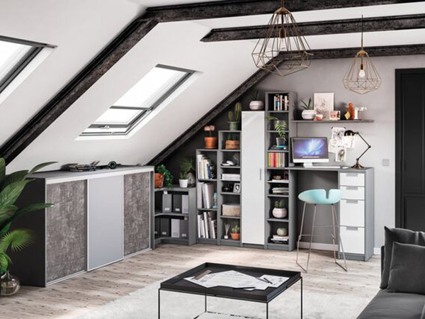 Bibliothèque et bureau